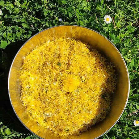 Le Moulin De Jules Et Akasha